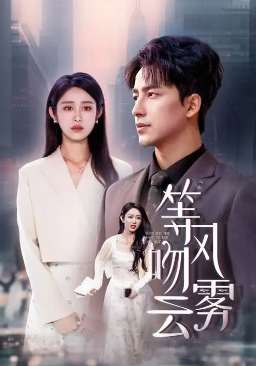 潮汐表 亚洲悬疑剧集封面
